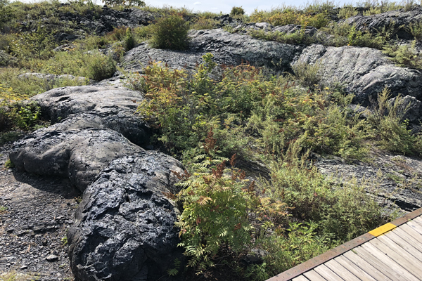 黑河旅游攻略 黑河景点推荐