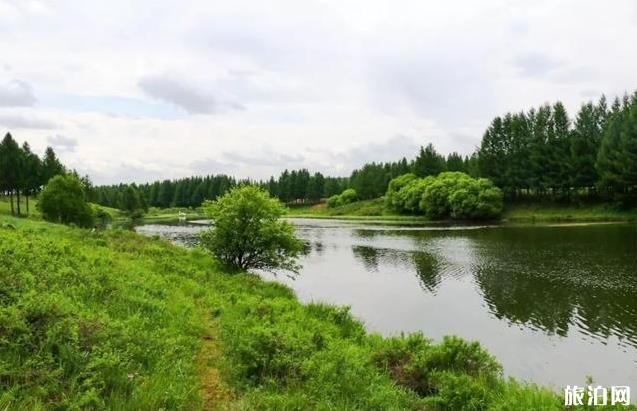 塞罕坝御道口自驾游旅游攻略