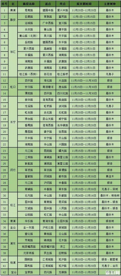 2019上海落叶不扫景观道名单+开放时间+介绍