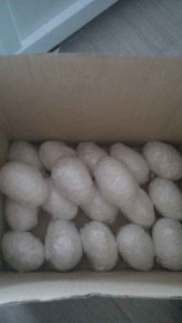 快手腌咸蛋的做法步骤6