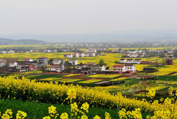 春天最适合去哪里旅游 春季旅游最佳去处