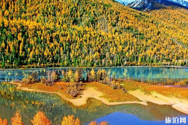 新疆购物注意事项