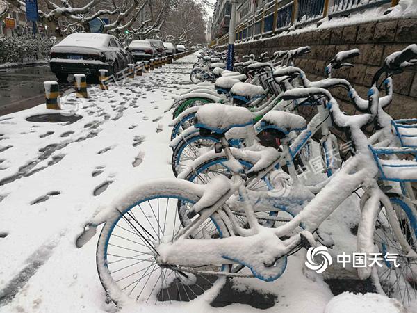 QQ图片20190208110239_副本.jpg