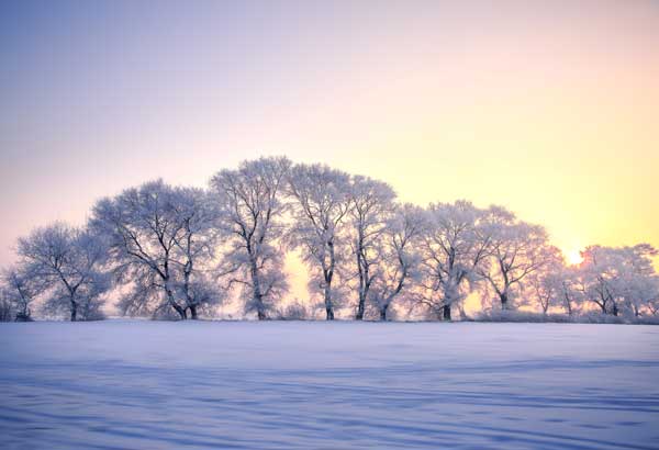 冬天去哪里旅游好 适合冬天旅游的地方