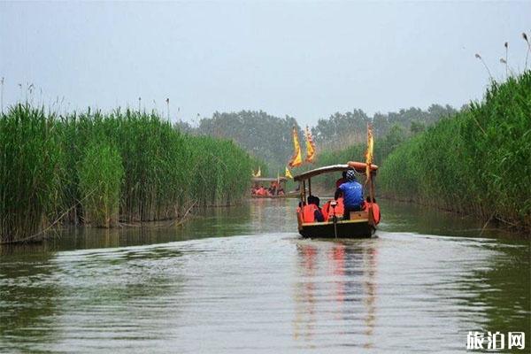 扬州高邮湖芦苇荡湿地公园门票+怎么去