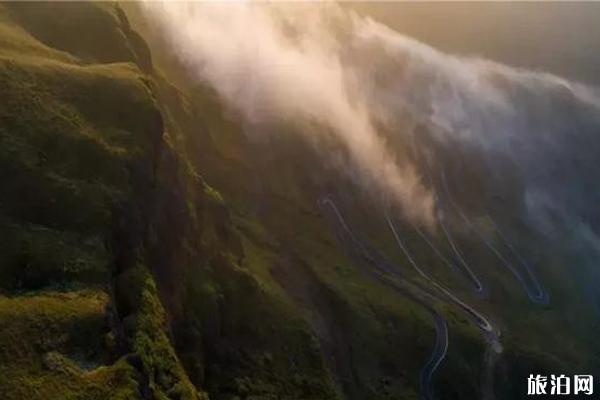 韭菜坪的花什么时候开+交通+门票信息 韭菜坪的花什么时候开+交通+门票信息