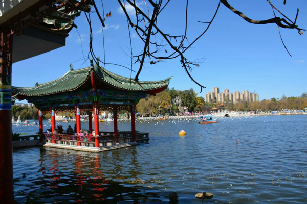 昆明看海鸥的地方有哪些 昆明海鸥最佳观赏地