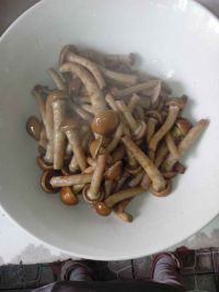 滑子菇炒肉丝的做法步骤3