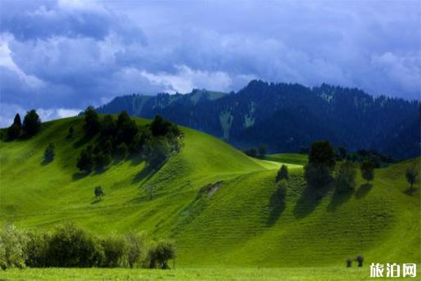 那拉提草原门票多少钱 骑马指南