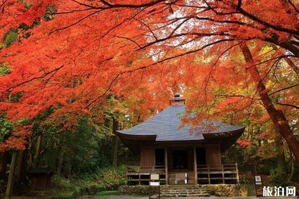 2019日本东北地区的红叶最佳观赏时间+地点推荐