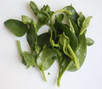 穿心莲三杯鸡的做法步骤2