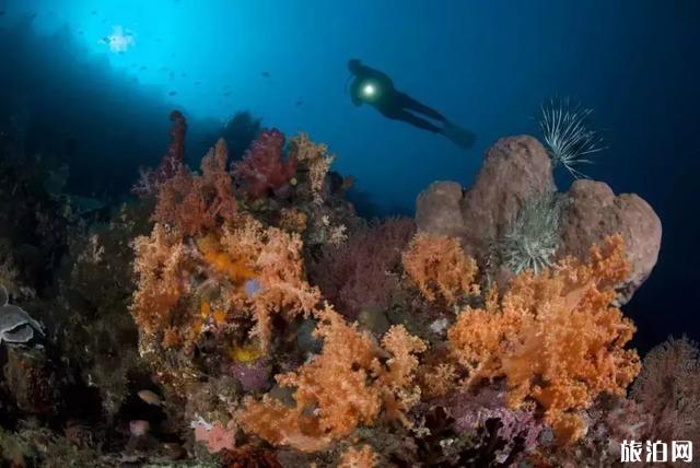 印尼美娜多旅游攻略