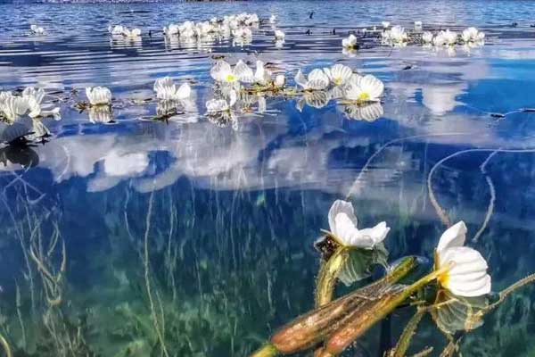 洱海跟泸沽湖哪个美 洱海跟泸沽湖哪个更值得一去