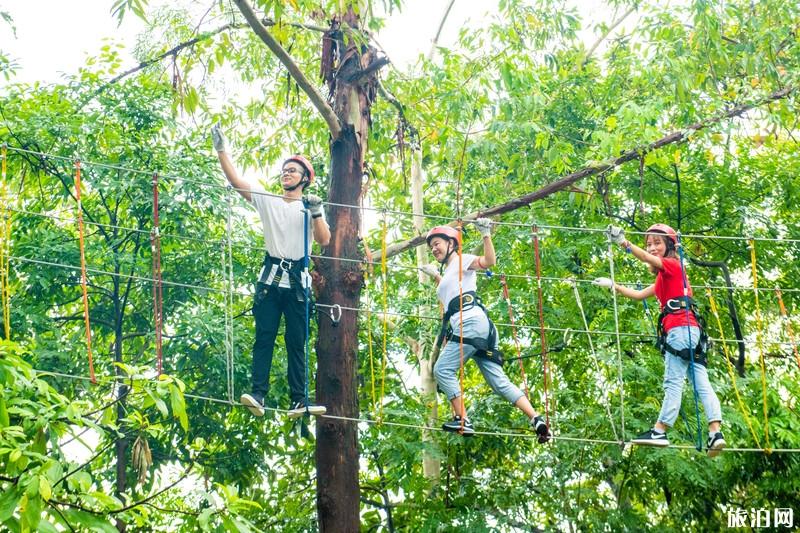 东莞观音山国家森林公园好玩吗 东莞观音山国家森林公园游玩攻略 东莞观音山国家森林公园好玩吗 东莞观音山国家森林公园游玩攻略