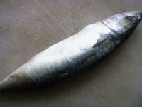 酸菜鱼火锅的做法步骤1