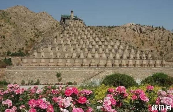 银川三日游最佳方案 银川三日游攻略