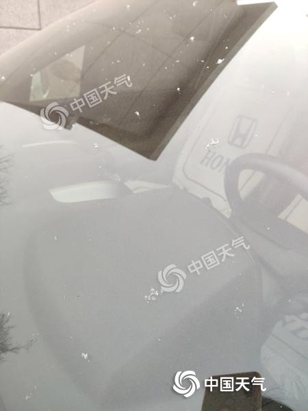微信图片_20190206090426.jpg