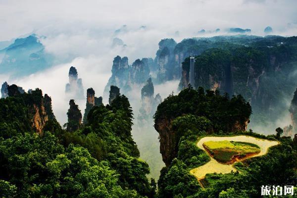 张家界四日游攻略路线