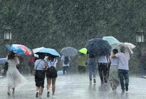 浙江台风最新消息实时路径图今天 台风鹦鹉会影响浙江吗