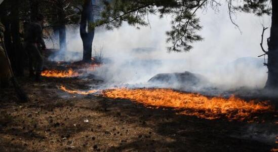 俄堪察加边疆区北部发生11处山火 该地区已进入紧急状态