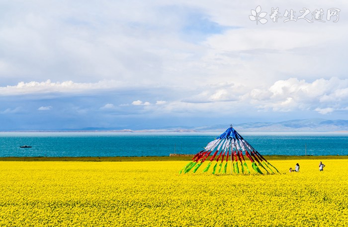 清明节出门踏青注意事项