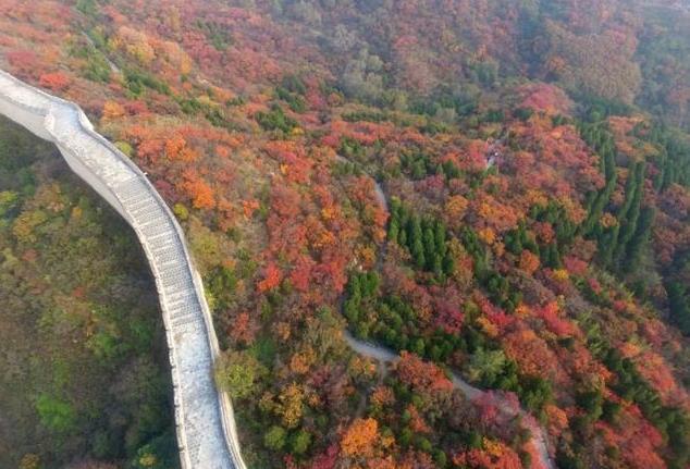 北京11月看红叶的地方