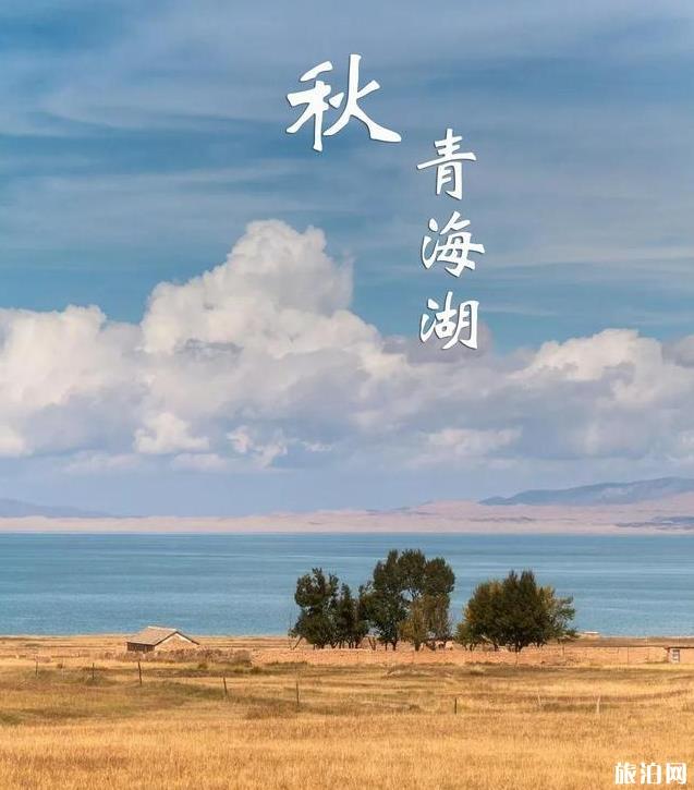 最适合秋天旅游的景点有哪些