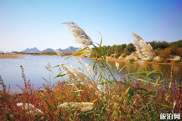 青岛周边旅游景点推荐