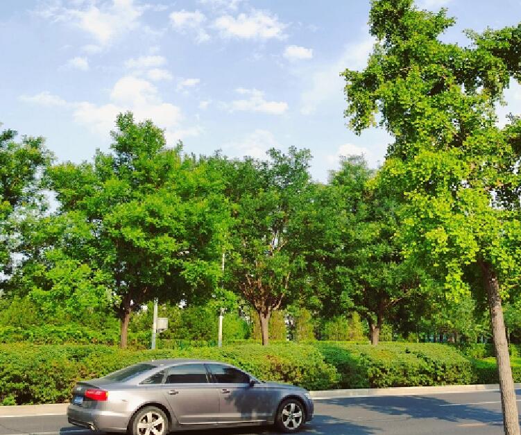 广东今明以晴热天气为主 部分地区将现极端高温39℃