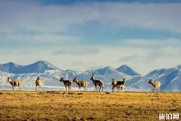 中国世界自然遗产有哪些 分布在哪些地方 中国世界自然遗产有哪些 分布在哪些地方