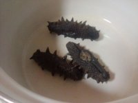 海参汤的做法步骤3