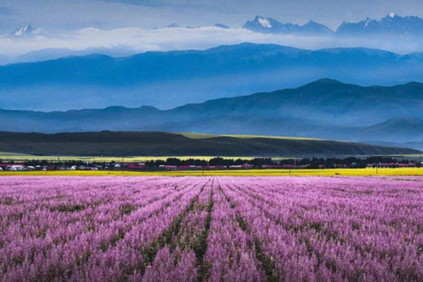新疆八月好玩吗 八月去新疆怎么样