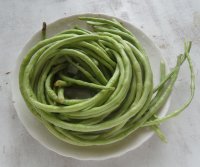 川香豇豆的做法步骤1
