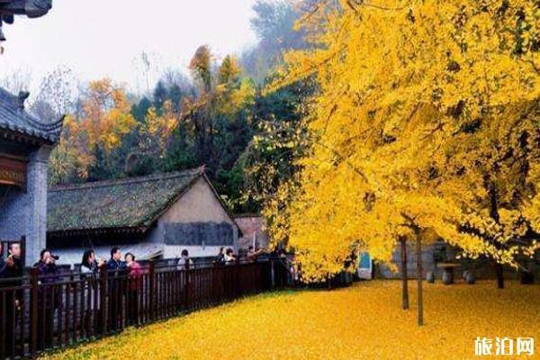 2019古观音禅寺预约平台 2019古观音禅寺预约流程
