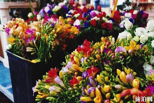 法国尼斯有哪些旅游景点