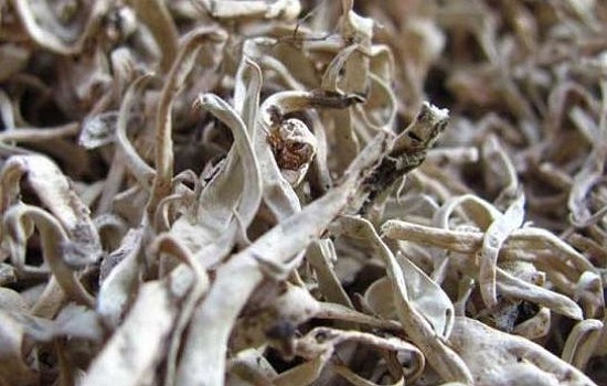 丽江有哪些特产 丽江特产