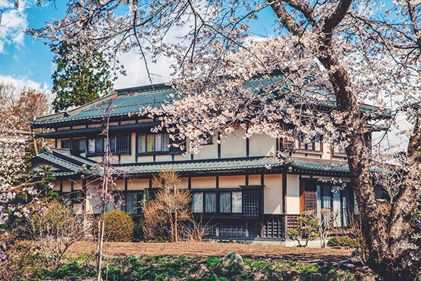 日本樱花季是几月 日本樱花季是什么时候
