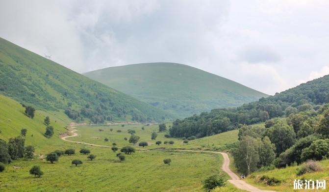 柳树沟稀树草原在哪里 柳树沟稀树草原游玩攻略 柳树沟稀树草原在哪里 柳树沟稀树草原游玩攻略