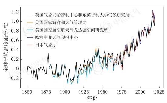 全球气候正在发生怎样的变化？让我们从一片树叶说起