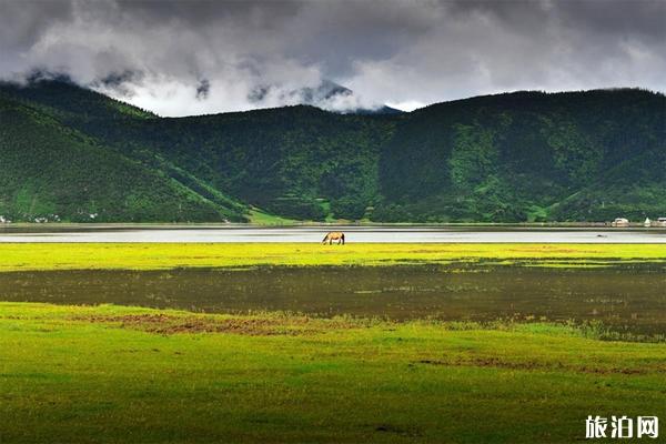 香格里拉旅游最佳季节+注意事项