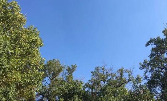 江苏阳光陆续回归气温25℃ 未来三天总体清凉宜出行