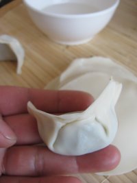 荠菜猪肉水饺的做法步骤9