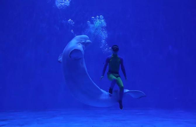 西宁童梦乐园在哪 西宁童梦乐园游玩攻略 西宁童梦乐园在哪 西宁童梦乐园游玩攻略