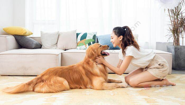 梦见狗爬到自己身上甩不掉
