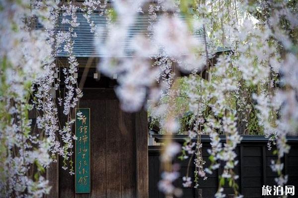 日本秋田县旅游最佳景点