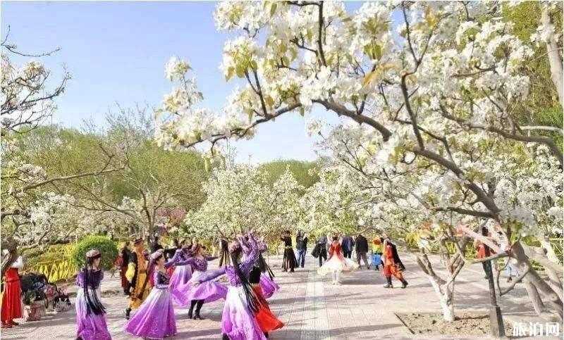 2019新疆全年赏花时间表+攻略 2019新疆全年赏花时间表+攻略