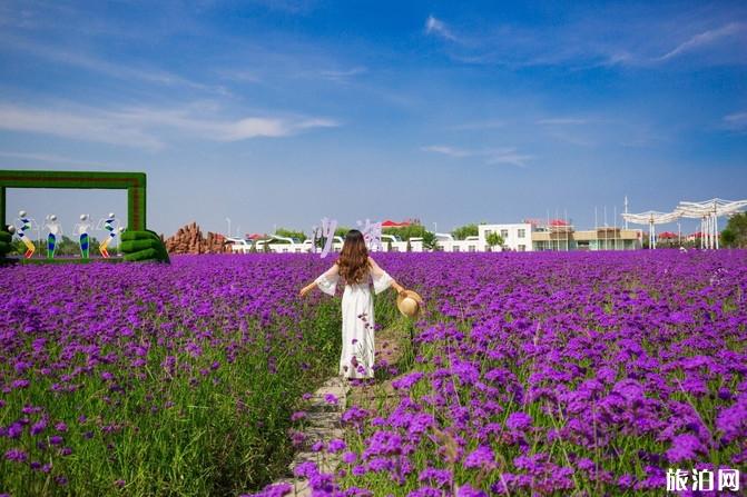 宁夏自驾游攻略及花费最新