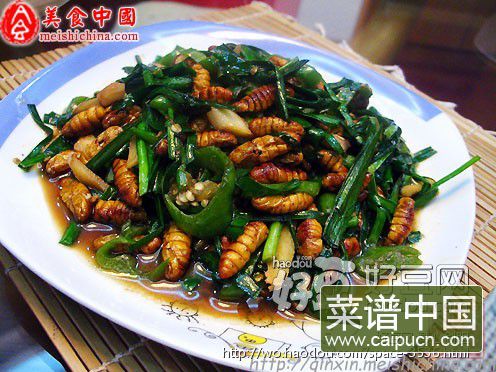 韭菜炒蚕蛹