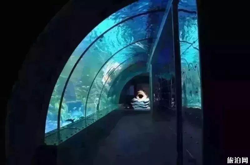 2019重庆幻太奇海洋馆八月优惠活动+游乐项目 2019重庆幻太奇海洋馆八月优惠活动+游乐项目