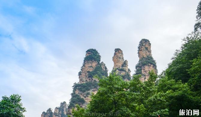 张家界四日游攻略路线